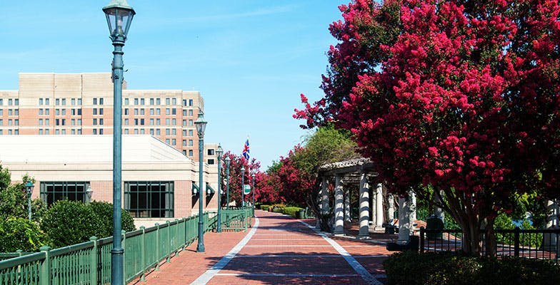 image-20240102-034052