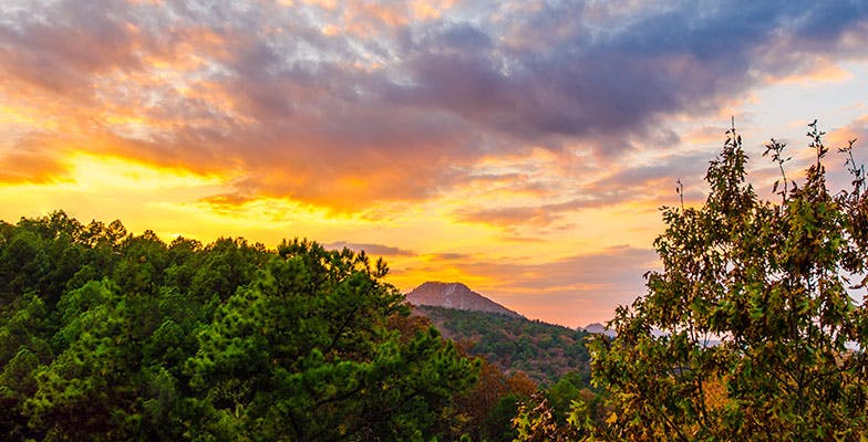 image-20240102-034052