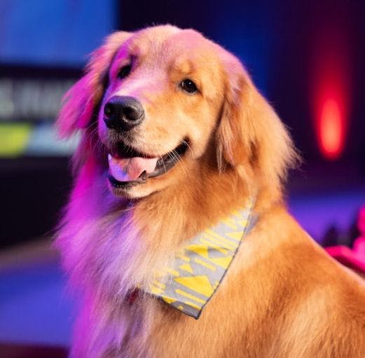 image-20240102-034052