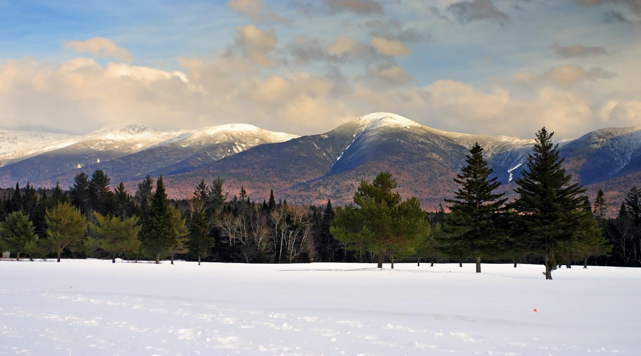 image-20240102-034052