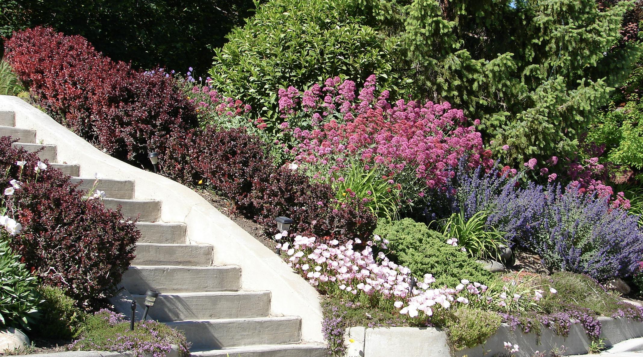 image-20240102-034052