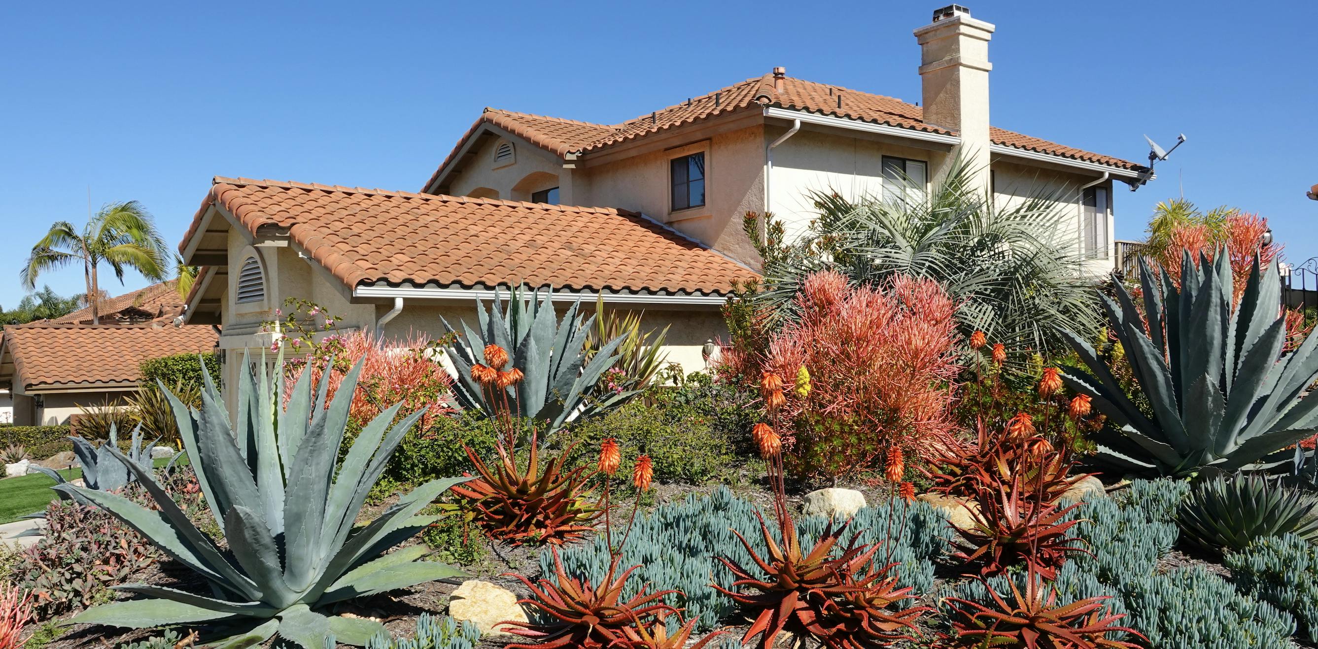 Xeriscaping outside a house